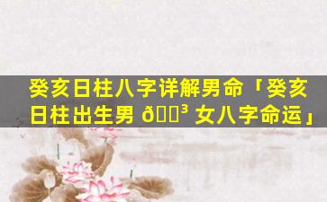 癸亥日柱八字详解男命「癸亥日柱出生男 🐳 女八字命运」